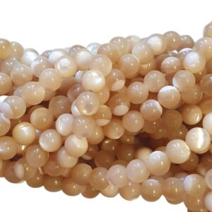 Natuursteen - Trochus seashell Beads