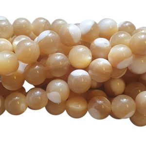 Natuursteen - Trochus seashell Beads