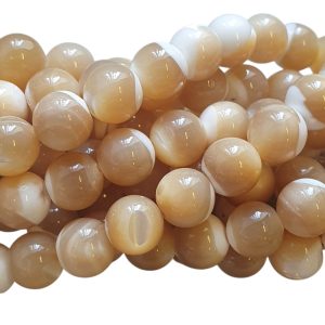 Natuursteen - Trochus seashell Beads