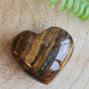 Tijgeroog - Hart