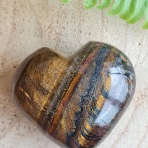 Tijgeroog - Hart