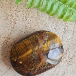 Tijgeroog - Palmsteen