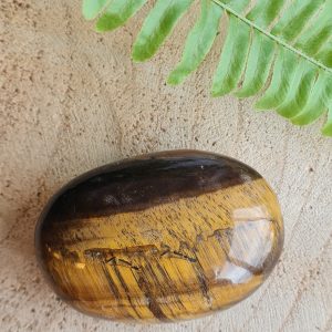 Tijgeroog - Palmsteen