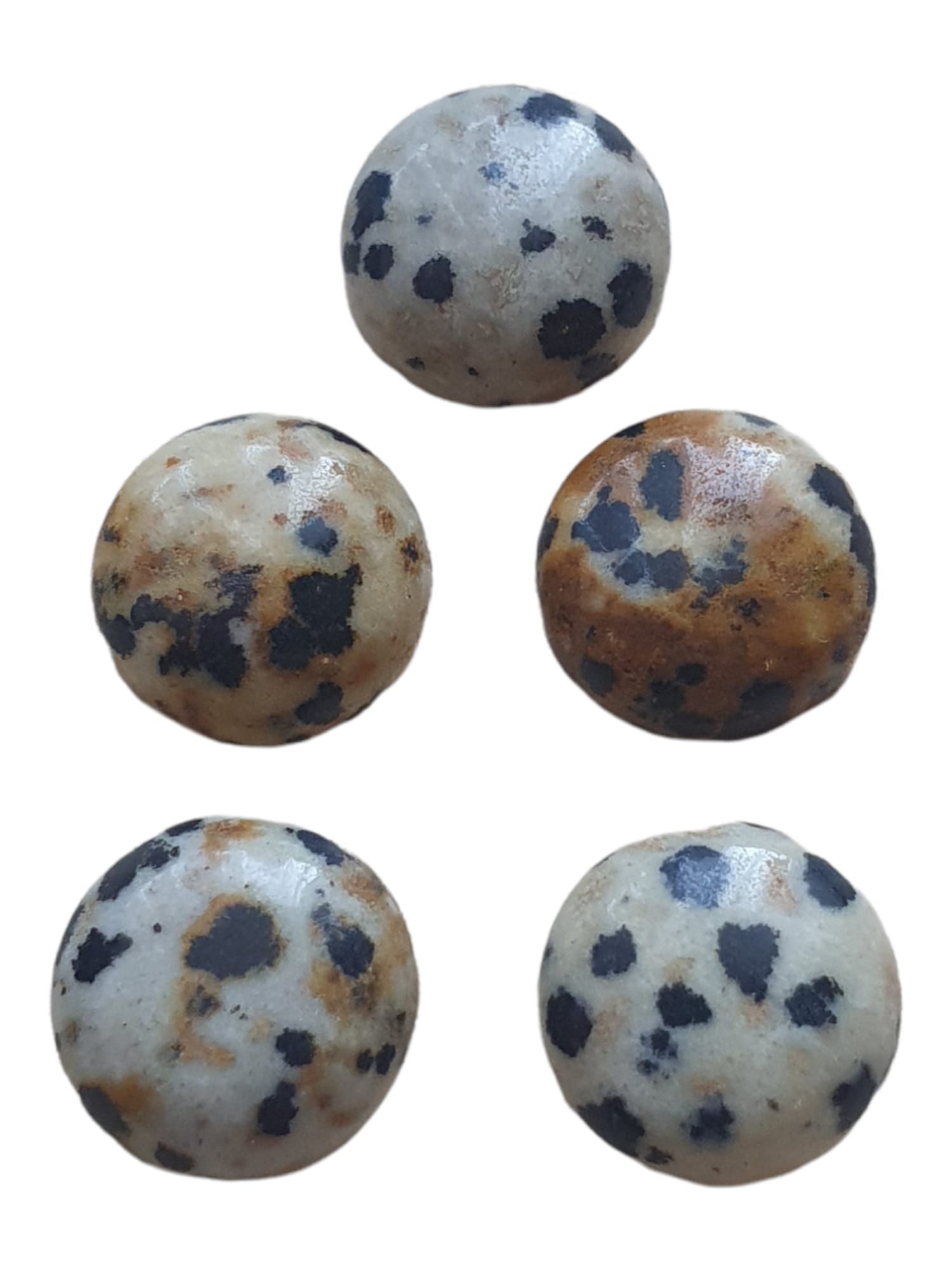Cabochon Natuursteen - Dalmatier Jaspis (15mm!)