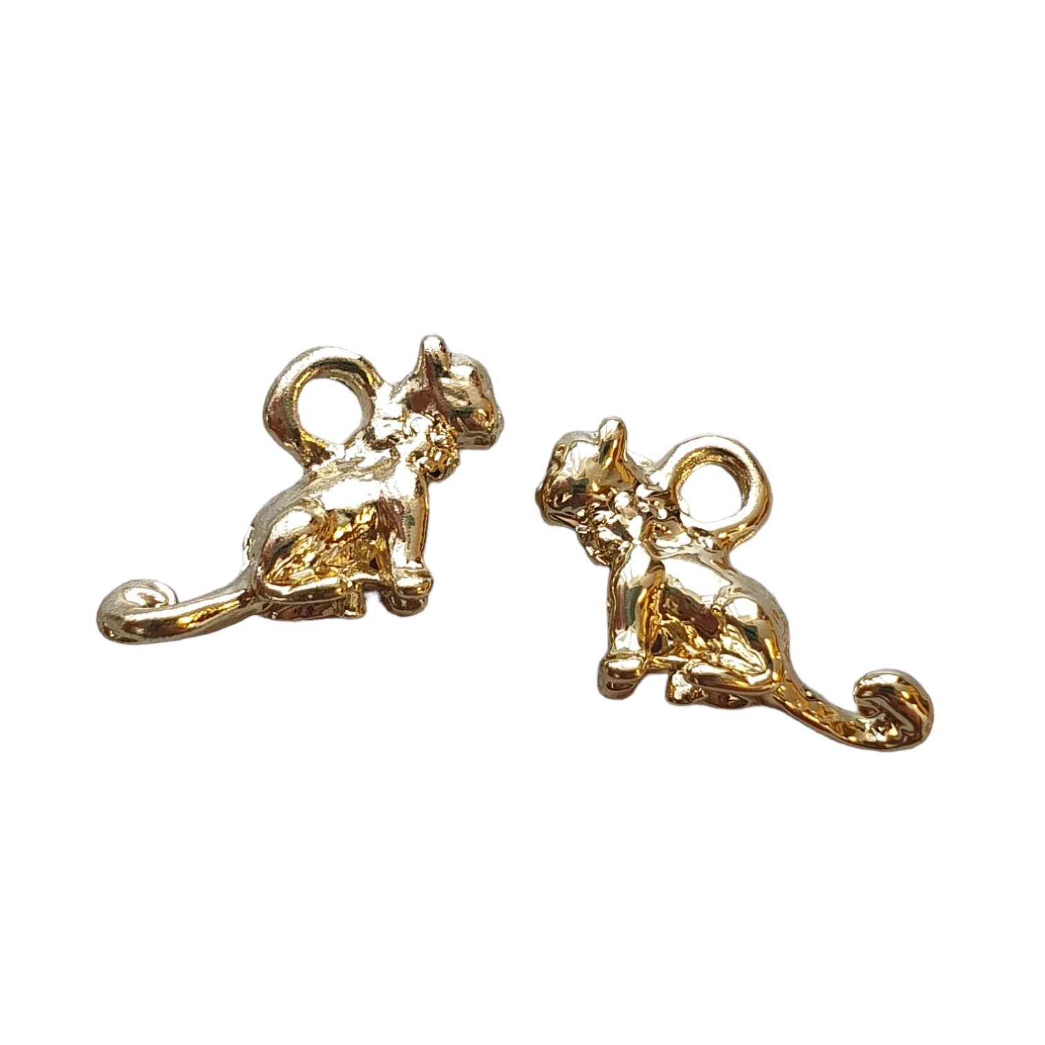 Bedel, Goud-kleurig - Kat