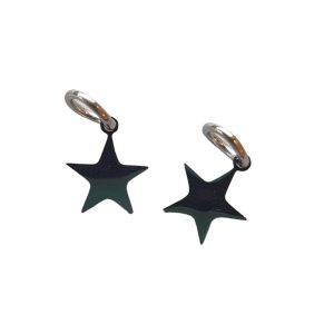 Bedel, Star - RVS