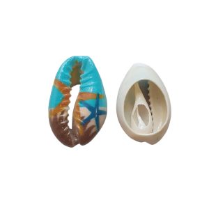 Schelp Kauri - Zeesterren