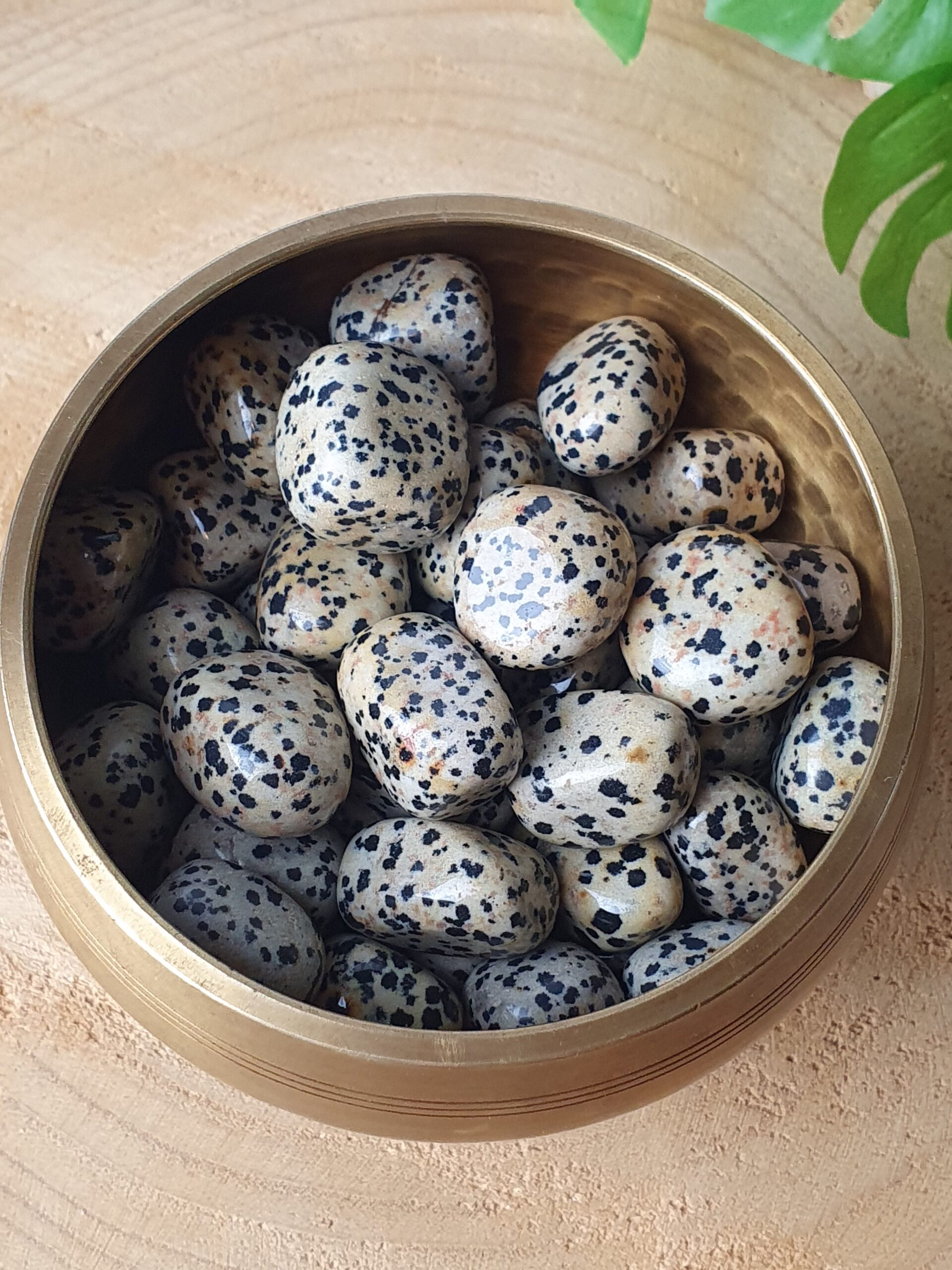 Dalmatier Jaspis - Knuffelsteen