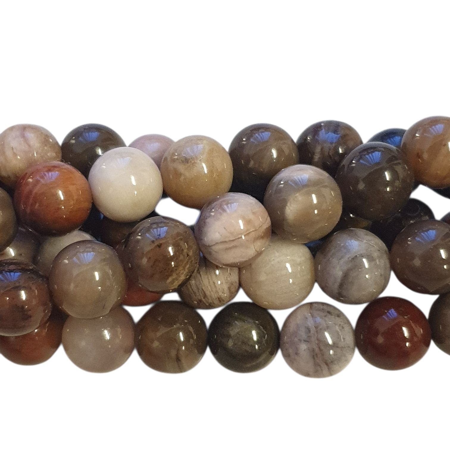Natuursteen Rond - Versteend Hout