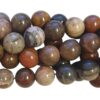 Natuursteen Rond - Versteend Hout