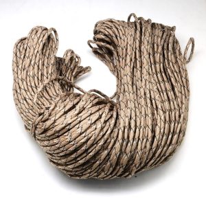 Alternative view of Paracord - Multi - Camel